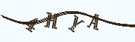 德仪国际贸易