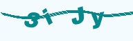 德仪国际贸易