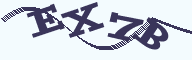 德仪国际贸易